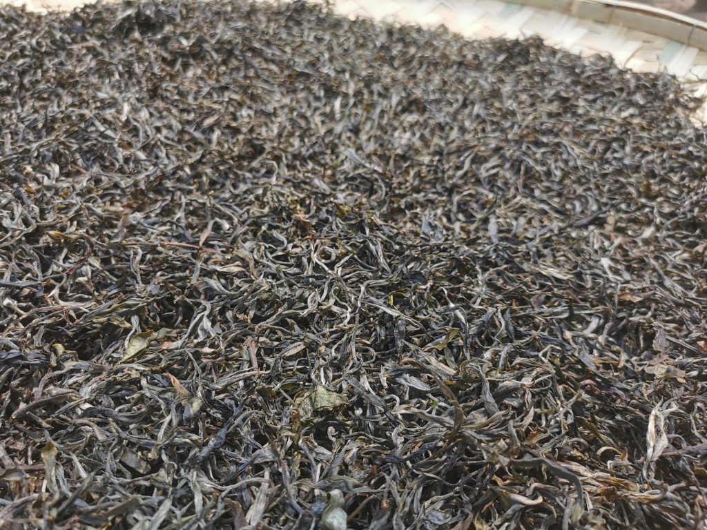 巴达山普洱茶