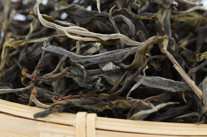 易武茶区的历史:繁荣与落幕