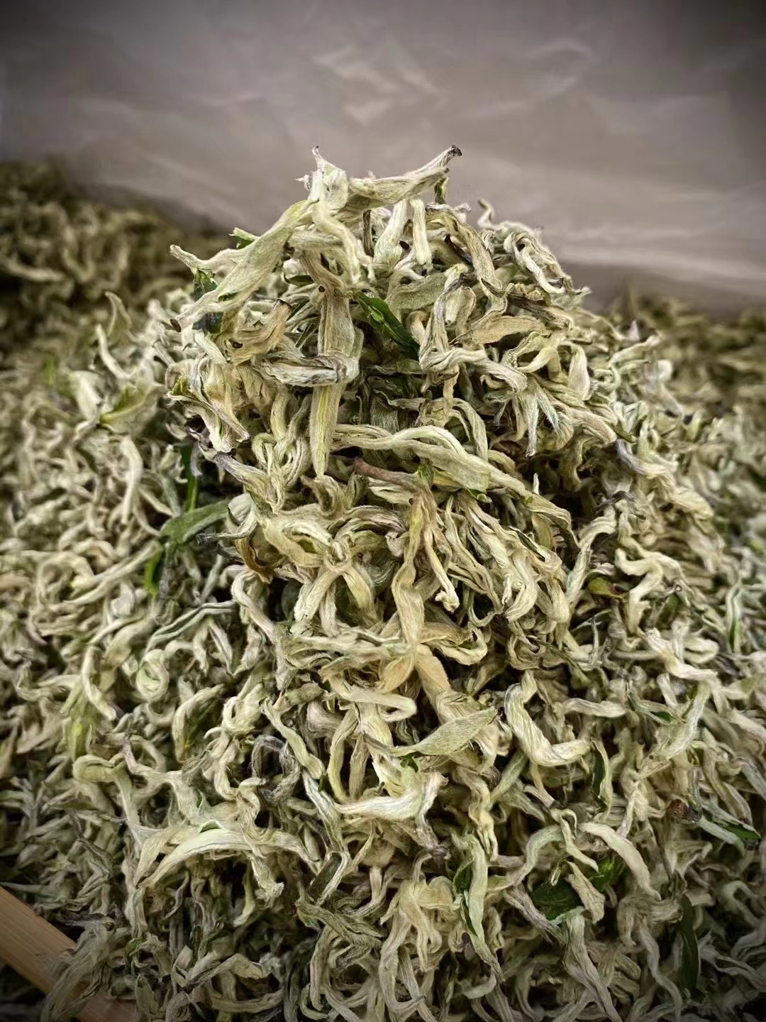 什么是春茶，有何特点