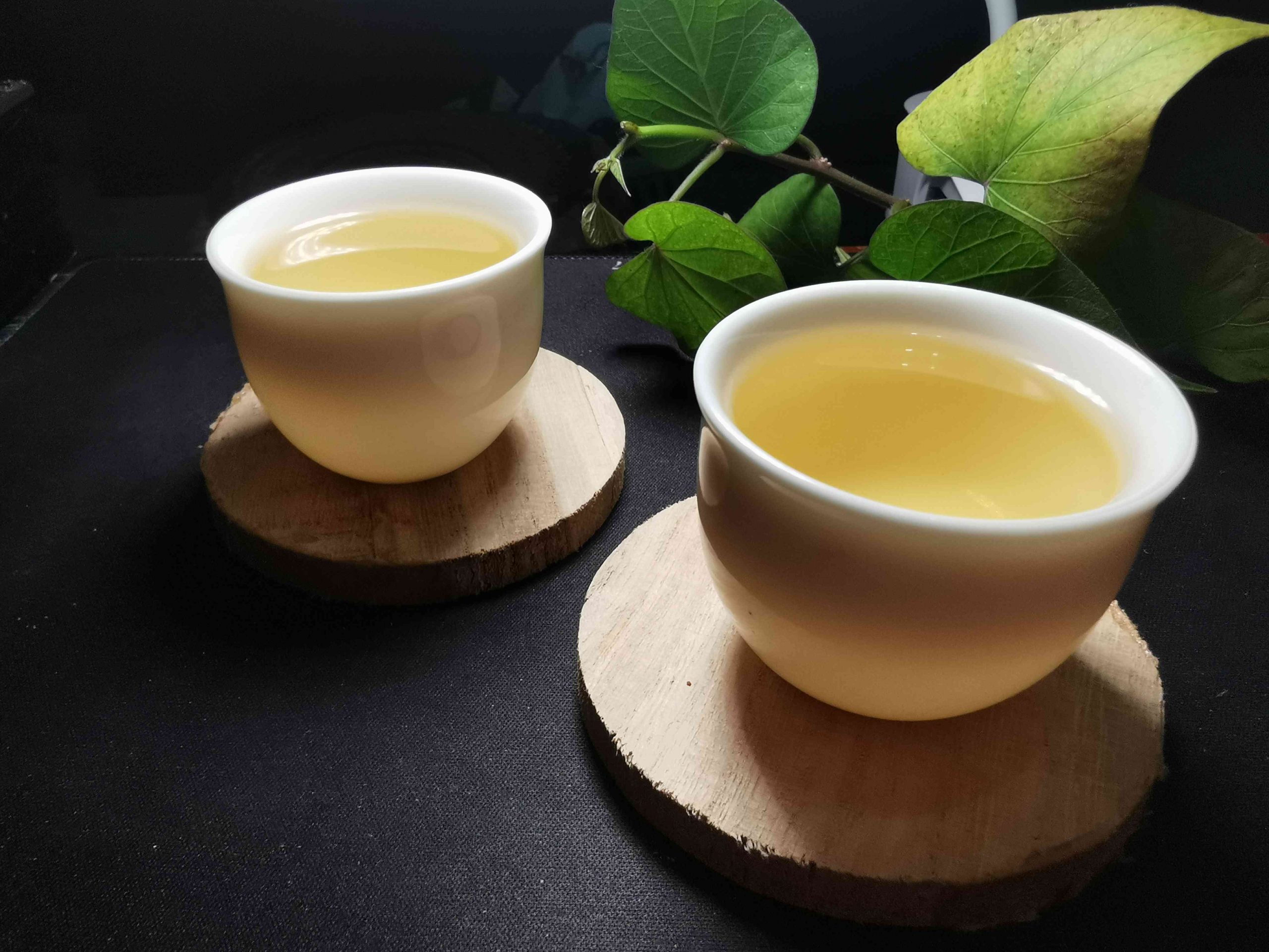 正气塘古树茶口感特点