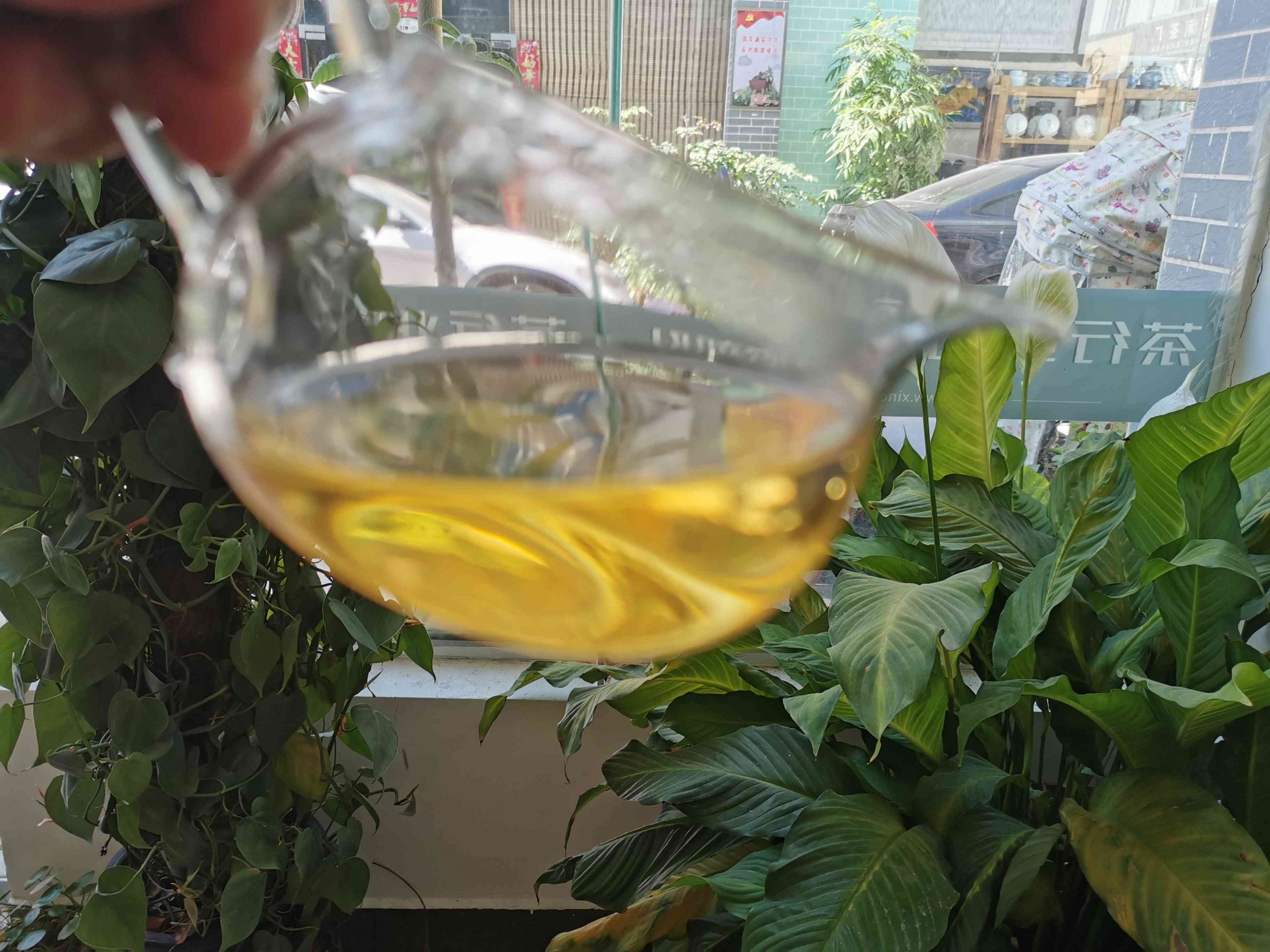 布朗山曼糯普洱茶怎么样