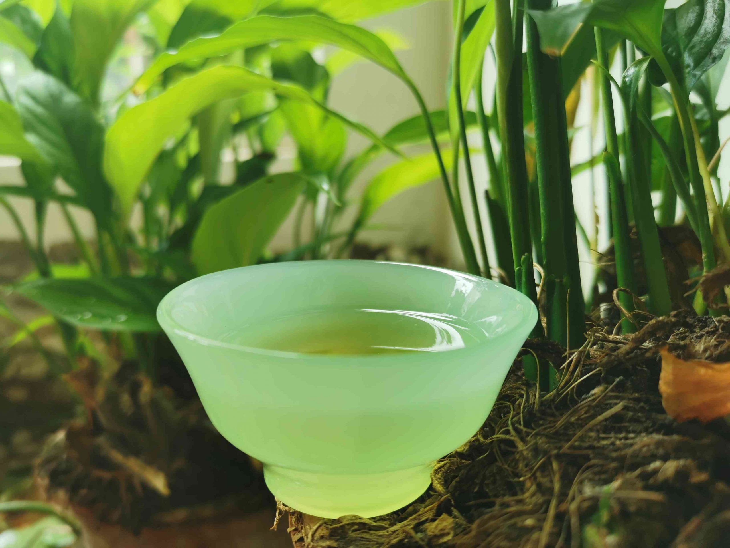 冰岛普洱茶特点价格介绍