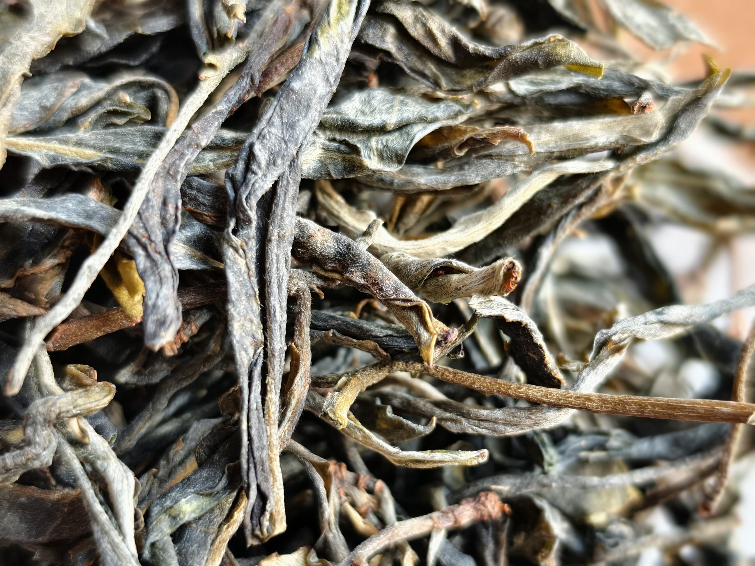 冰岛普洱茶是生茶还是熟茶