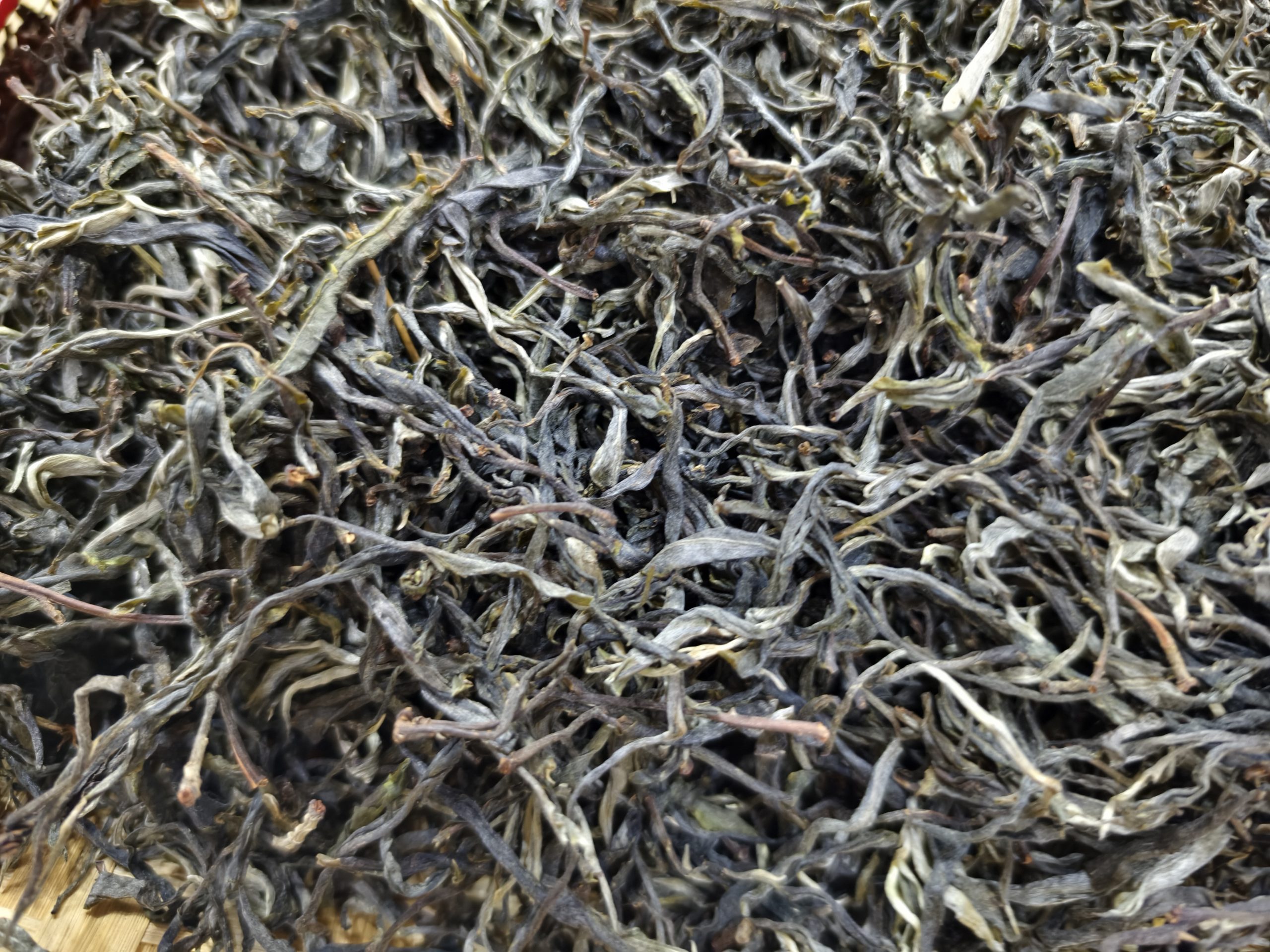 　　易武弯弓茶历史 　　古六大茶山，易武居首位，清咸丰年以前，易武弯弓大寨是易武茶山最兴旺的寨子，有四百多户人家，建有占地六千多平方米的关帝庙，也是当时六大茶山最大，最精美的庙宇，商贾云集，马帮塞途，弯弓大寨在当时可谓是繁荣至极，随着一波三折开始逐渐没落，到光绪末年便无人居住。 　　关于弯弓的衰落有两种说法：一说是瘴疠流行；二说是民族械斗，经过三次大火的弯弓，以至于到现在，曾经辉煌精美的关帝庙只留下残垣断壁。而弯弓古茶园，古茶树也遭受到严重的烧毁破坏。现如今已看不到成片的茶林，只有部分茶园分布零散，存留下来的古树实属难得，不幸中的万幸。古茶树树龄平均在500年以上。 　　易武弯弓茶园 　　因此，我们现在说起弯弓，通常是指茶园，而非村寨。即使如此，易武弯弓茶因汤水细腻甜柔，花香、蜜香明显，还带有独特的野韵，强烈的回甘与持久的生津。收获了很多普洱茶玩家的追捧。市面上的弯弓从几百块到几千块，再到上万一公斤的弯弓茶。价差为何如此之大？但到底哪一片茶园才是纯正的弯弓茶呢？ 　　弯弓茶产地面积较大，分布广，也比较复杂。主要集中在瑶族丁家寨的上寨（白茶园、弯弓）；下寨（弯弓河、凤凰网）杨家寨（薄荷塘、多依树）；滥田寨，以及其它弯弓茶。它们都算是易武弯弓茶。但属核心区域的弯弓，还得是弯弓河附近和凤凰窝附近的这一片。 　　易武弯弓茶生长在1800米海拔，生态非常优越，原生态的原始森林，在去往弯弓河的路，真的是让大多茶商们去一次，怕一次。只能靠茶农朋友骑着摩托车前往，这种林间小路，真的是又湿又滑，一般人能走到茶园都难得，更别说是在爬上数米高的茶树采茶了，也正因如此，才能将多样化的植被完整保留下来，造就弯弓茶独特的品质特征。 　　易武弯弓古树茶特点 　　弯弓茶是易武大产区中的甜茶，国有林中的森林茶，保留着完整的原始森林生态，古树茶冲泡后汤感细腻，甜柔，苦味涩感协调性好，甜度高，茶香融于茶汤中，能满足口腔味蕾的极致体验，尤其是饱满丰富的森林韵味让人一品难忘，是易武弯弓地域不可复制的特色魅力！