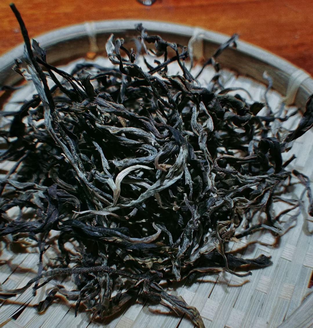 弯弓古树单株,古树纯料普洱茶的“象牙塔尖” – 茶中有茗