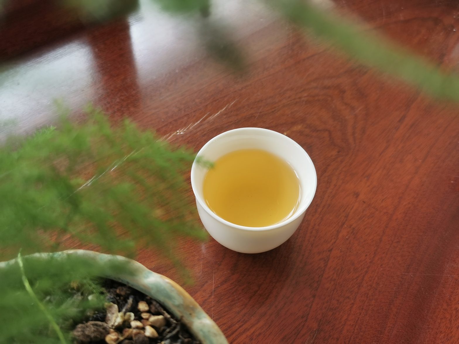 易武弯弓茶口感特点 – 茶中有茗